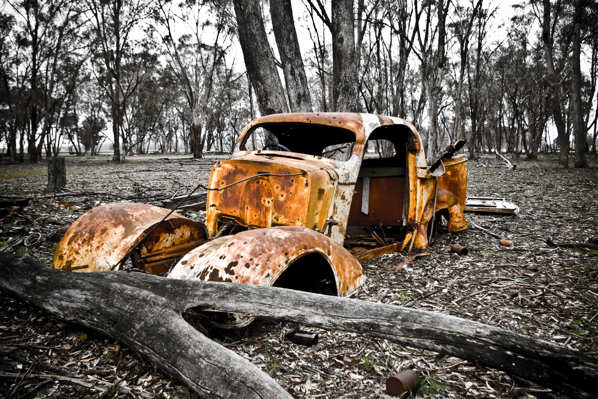 Flickr 2775x1853 1770746278972